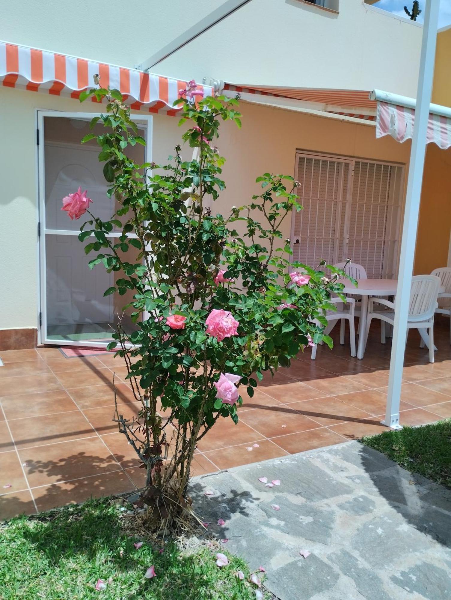 Bahia De Vera Apartamento Aquaria Екстериор снимка